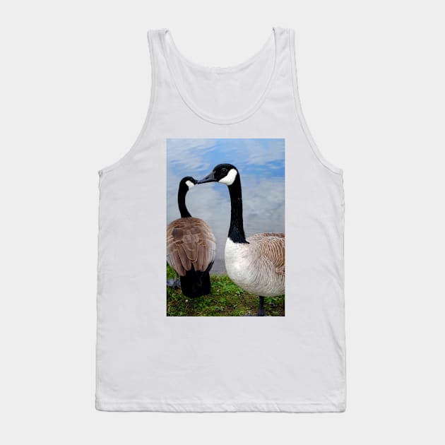 Canada Goose Canadian Geese Wild Bird Tank Top by AndyEvansPhotos